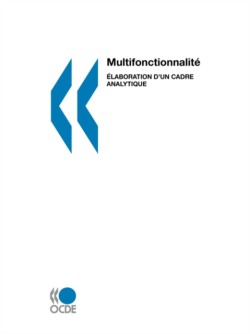 Multifonctionnalit?: Elaboration D'UN Cadre Analytique