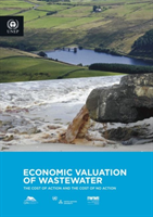 Economic valuation of wastewater