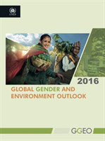 Global gender and environment outlook 2016