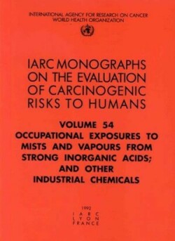 Occupational exposures to mists and vapours from strong inorganic acids