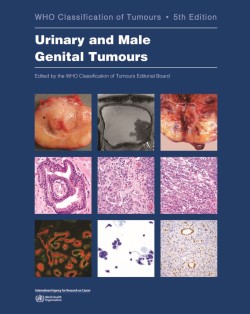WHO - Classification of Tumours of the Urinary System and Male Genital Organs, 5th Ed.