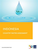 Indonesia Country Water Assessment