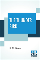 Thunder Bird