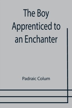 Boy Apprenticed to an Enchanter