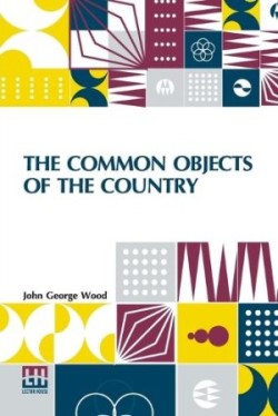 Common Objects Of The Country