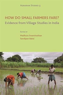 How Do Small Farmers Fare? – Evidence from Village Studies in India