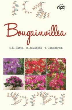 Bougainvillea