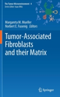 Tumor-Associated Fibroblasts and their Matrix