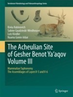 Acheulian Site of Gesher Benot  Ya‘aqov  Volume III