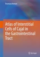 Atlas of Interstitial Cells of Cajal in the Gastrointestinal Tract