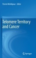Telomere Territory and Cancer