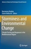 Storminess and Environmental Change