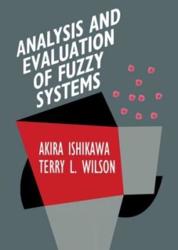 Analysis and Evaluation of Fuzzy Systems