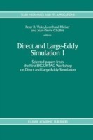 Direct and Large-Eddy Simulation I