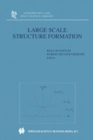 Large Scale Structure Formation