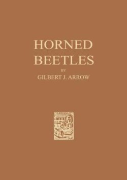 Horned Beetles