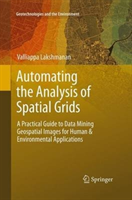 Automating the Analysis of Spatial Grids