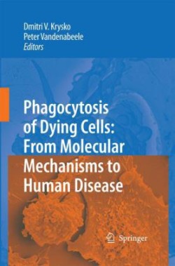 Phagocytosis of Dying Cells