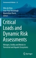 Critical Loads and Dynamic Risk Assessments