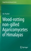 Wood-rotting non-gilled Agaricomycetes of Himalayas