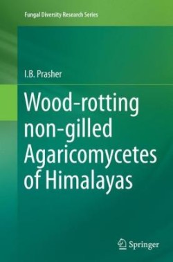 Wood-rotting non-gilled Agaricomycetes of Himalayas