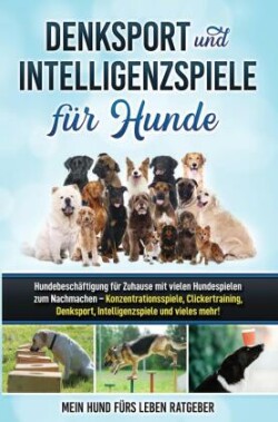 Denksport und Intelligenzspiele für Hunde