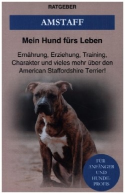 American Staffordshire Terrier