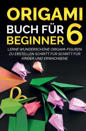 Origami Buch für Beginner 6 : Lerne wunderschöne Origami-Figuren zu erstellen Schritt für Schritt für Kinder und Erwachsene