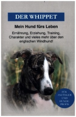 Whippet - Der englische Windhund