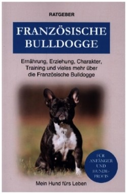 Französische Bulldogge