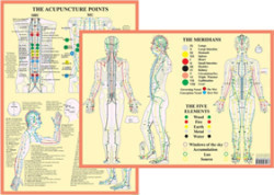 Meridians and 5 Elements