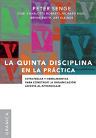 Quinta Disciplina En La Práctica