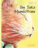 Ilay Saka Mpanasitrana