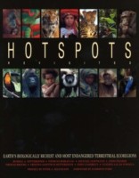 Hotspots Revisited