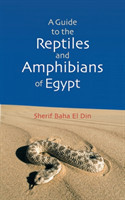 Guide to Reptiles and Amphibians of Egypt