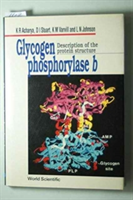 Glycogen Phosphorylase B: Description Of The Protein Structure