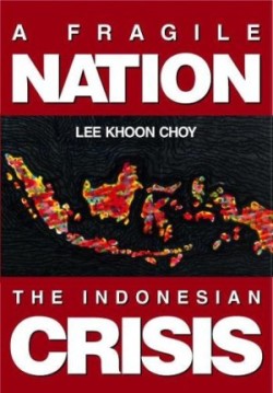 Fragile Nation, A: The Indonesian Crisis