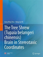 Tree Shrew (Tupaia belangeri chinensis) Brain in Stereotaxic Coordinates