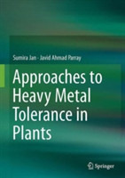 Approaches to Heavy Metal Tolerance in Plants