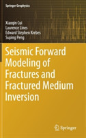 Seismic Forward Modeling of Fractures and Fractured Medium Inversion