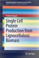 Single Cell Protein Production from Lignocellulosic Biomass