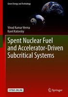 Spent Nuclear Fuel and Accelerator-Driven Subcritical Systems