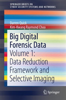 Big Digital Forensic Data