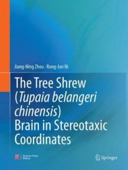 Tree Shrew (Tupaia belangeri chinensis) Brain in Stereotaxic Coordinates