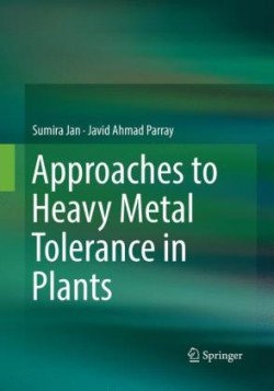 Approaches to Heavy Metal Tolerance in Plants