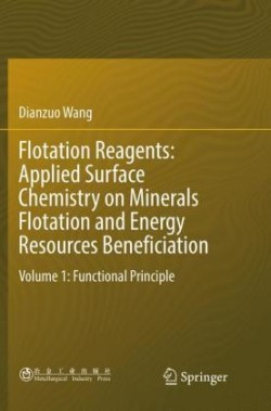 Flotation Reagents: Applied Surface Chemistry on Minerals Flotation and Energy Resources Beneficiation