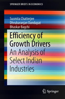 Efficiency of Growth Drivers