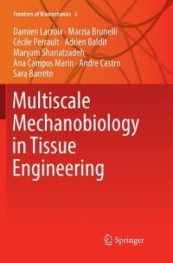 Multiscale Mechanobiology in Tissue Engineering