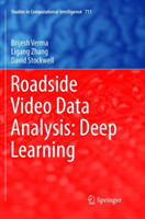 Roadside Video Data Analysis