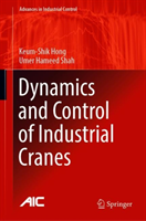 Dynamics and Control of Industrial Cranes